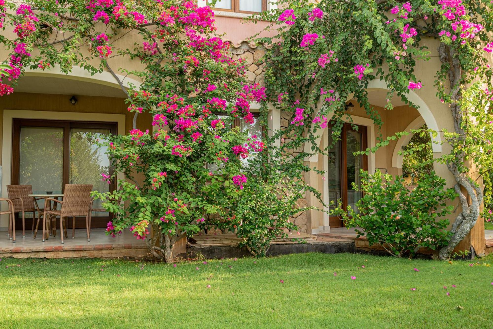 Hotel Mariposas ヴィッラシミーウス エクステリア 写真